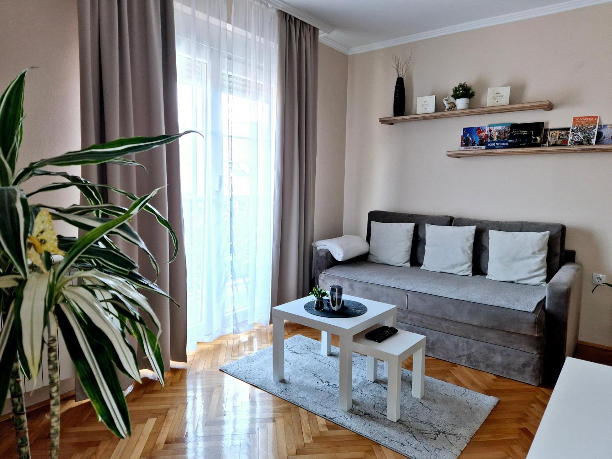Apartman Centar Pozarevac Bagian luar foto